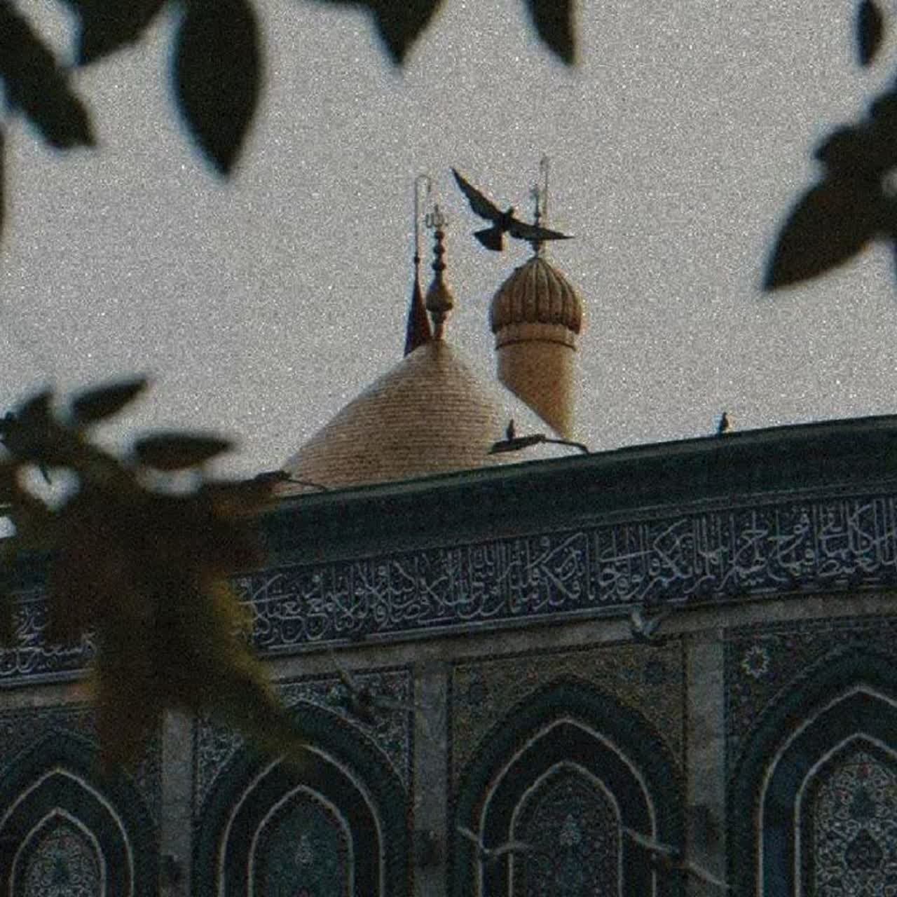 گنبد 000001
