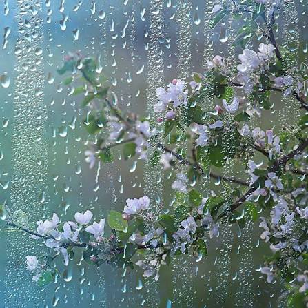 زندگی چیست به جز نم‌نم باران بهار؟