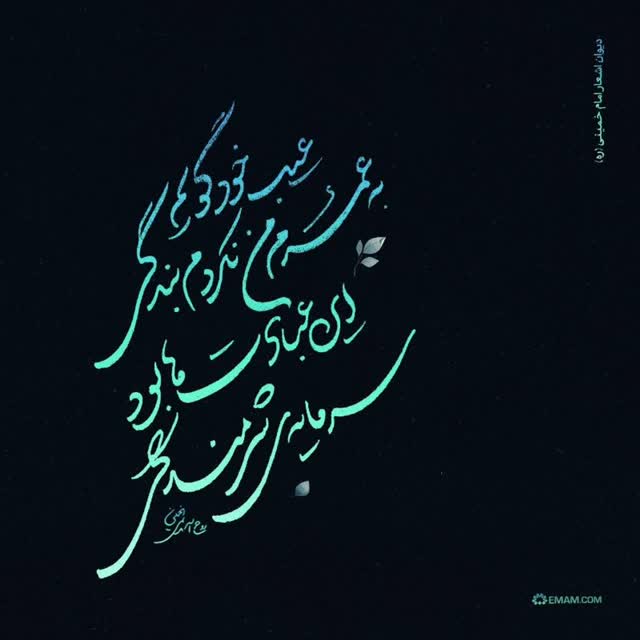 عیب خود گویم به عمرم من نکردم بندگی